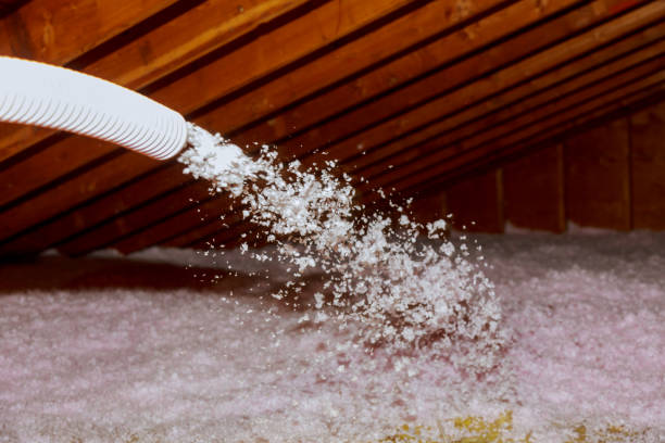 Best Cellulose Insulation in Otterbe, IN
