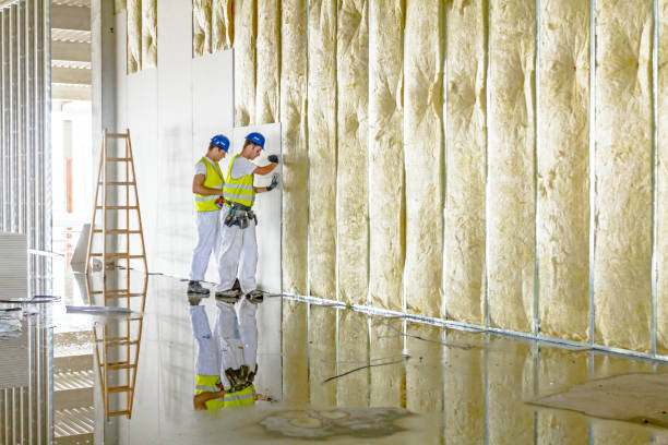 Best Geographic-Specific Insulation Services in Otterbe, IN